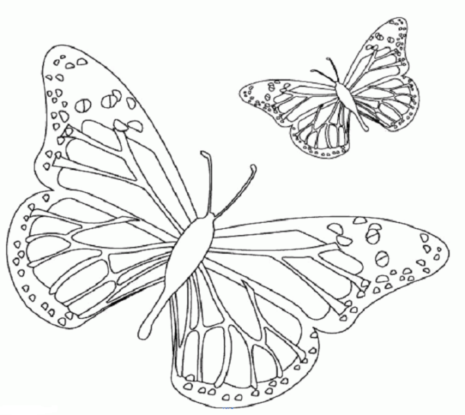 110 трафаретов бабочек для распечатки и вырезания из бумаги