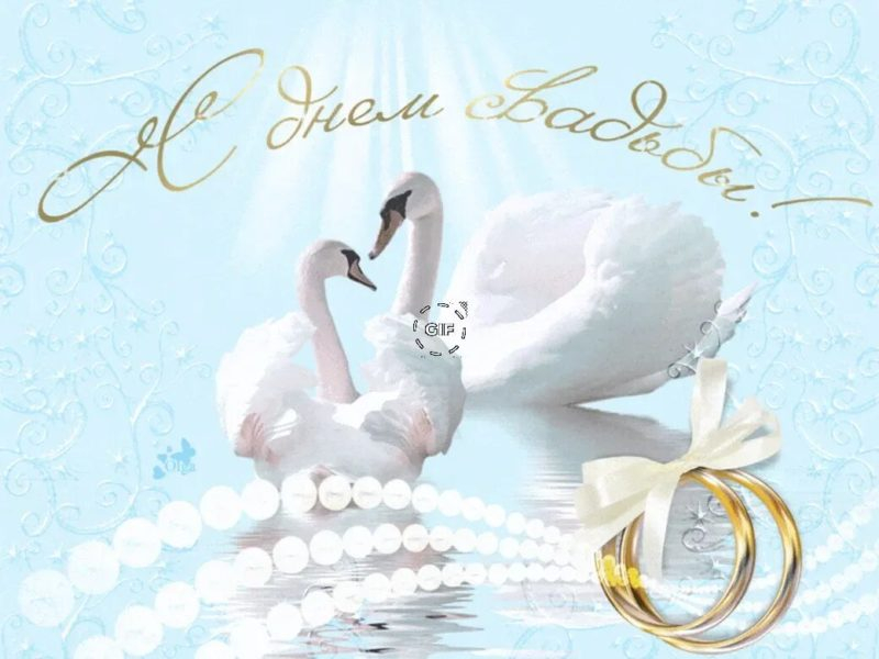 120 самых красивых открыток с днем свадьбы