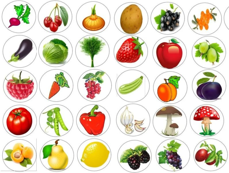 130 картинок для детей с овощами и фруктами