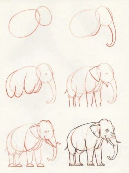 150 легких рисунков животных карандашами и не только