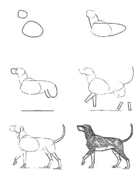 180 рисунков собаки карандашом и не только