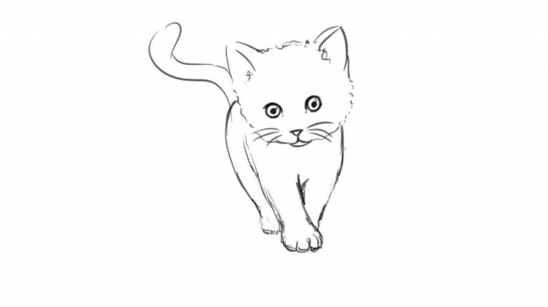 215 прикольных рисунков котов и кошек