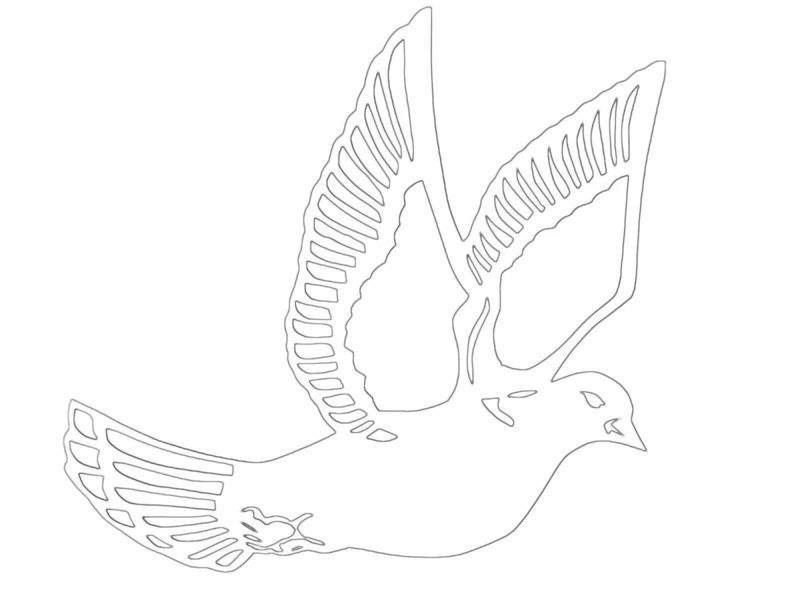 70 шаблонов и трафаретов голубей для вырезания