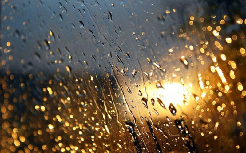 80 красивых фото дождя
