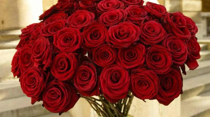 Букеты роз: 180 красивых картинок