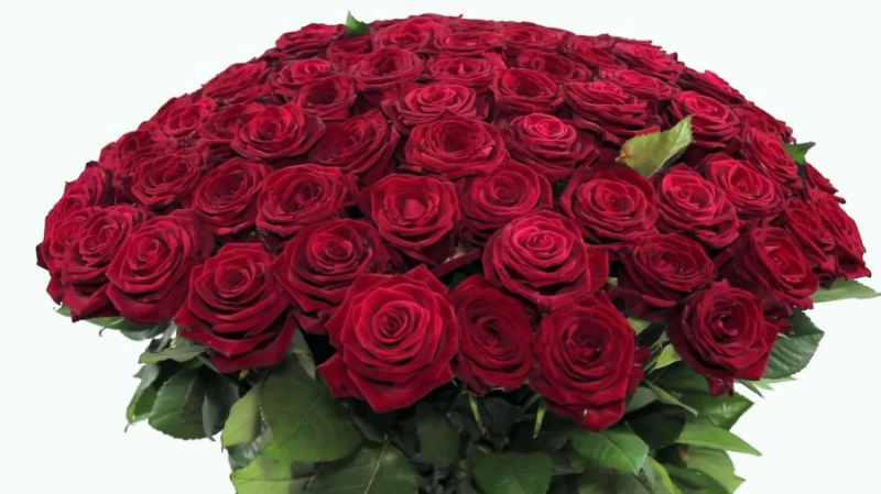 Букеты роз: 180 красивых картинок
