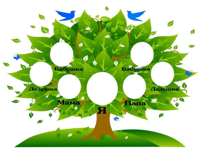 Древо семьи: 80 шаблонов семейного дерева