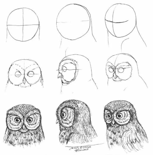 Как рисовать сову: 75 лучших рисунков карандашами и не только