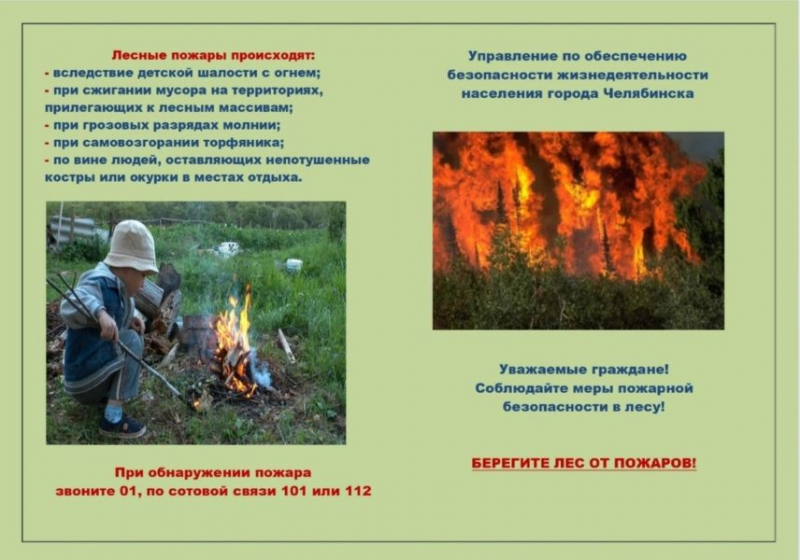 Картинки «Берегите лес от пожара!» (29 фото)