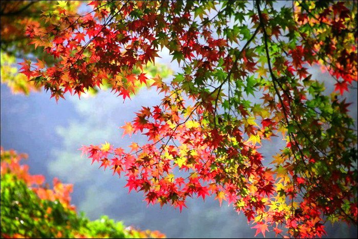 Картинки красивая осень (36 фото)