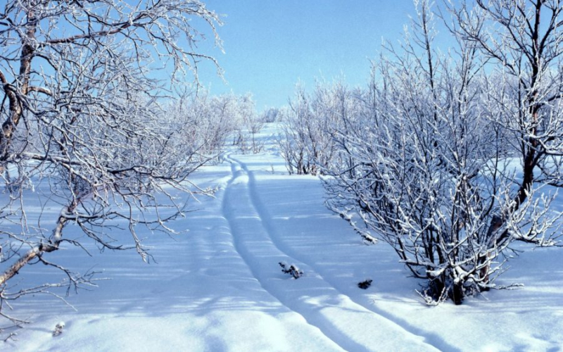 Картинки красивые фото зимы (35 фото)