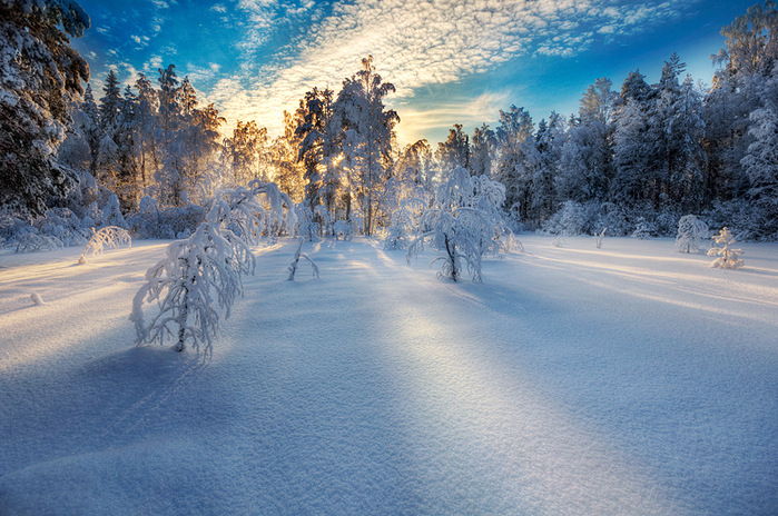 Картинки красивые фото зимы (35 фото)