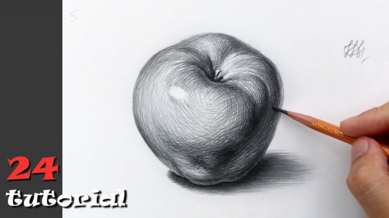 Рисунки карандашом для детей яблоки (48 фото)