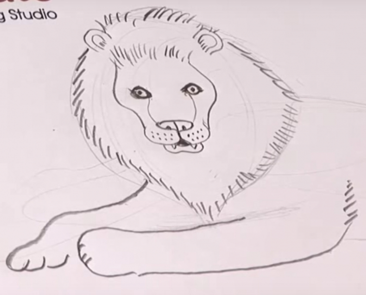 Рисунки карандашом для детей лев (30 фото)