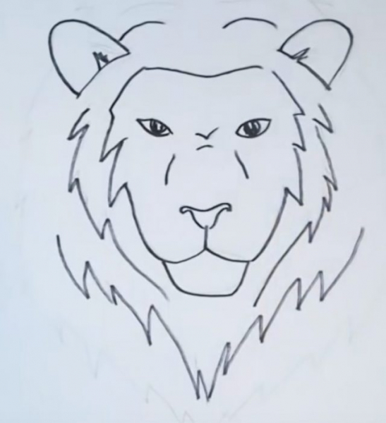 Рисунки карандашом для детей лев (30 фото)