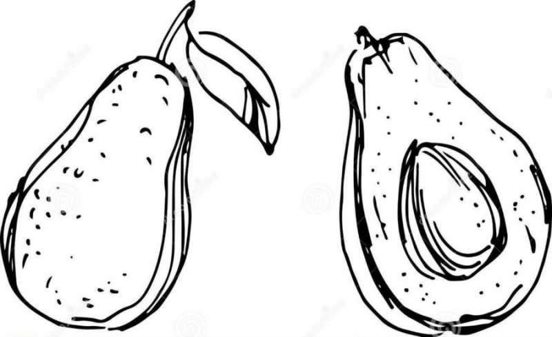 Рисунки карандашом мультяшный авокадо (17 фото)