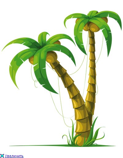 Рисунки карандашом пальма (30 фото)
