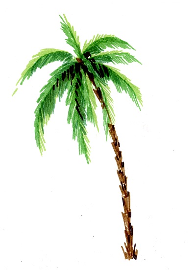 Рисунки карандашом пальма (30 фото)