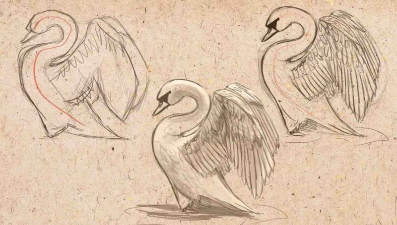 Рисунки карандашом поэтапно птица в полете (58 фото)
