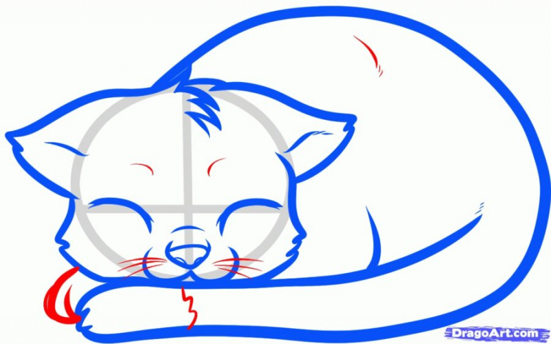 Рисунки кошки карандашом для детей (33 фото)