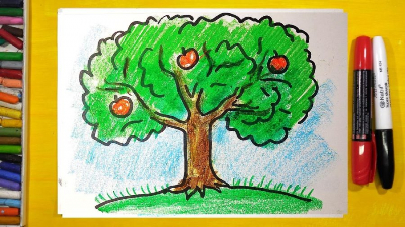 Рисунки леса карандашом для детей (34 фото)