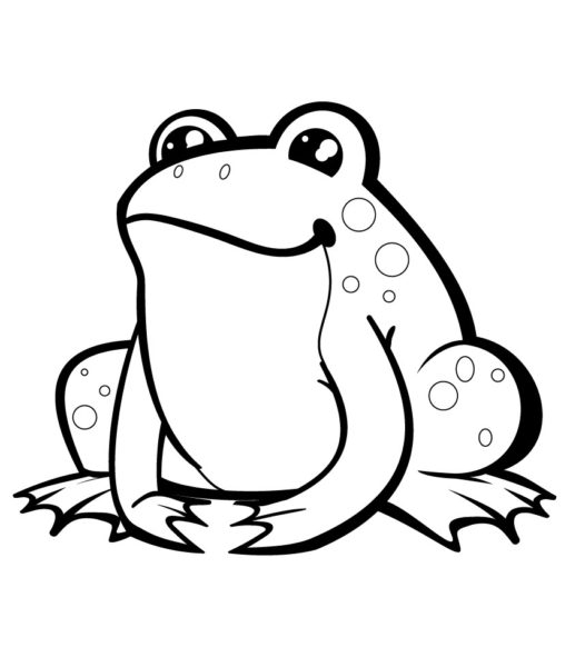 Рисунки лягушки для срисовки (40 фото)