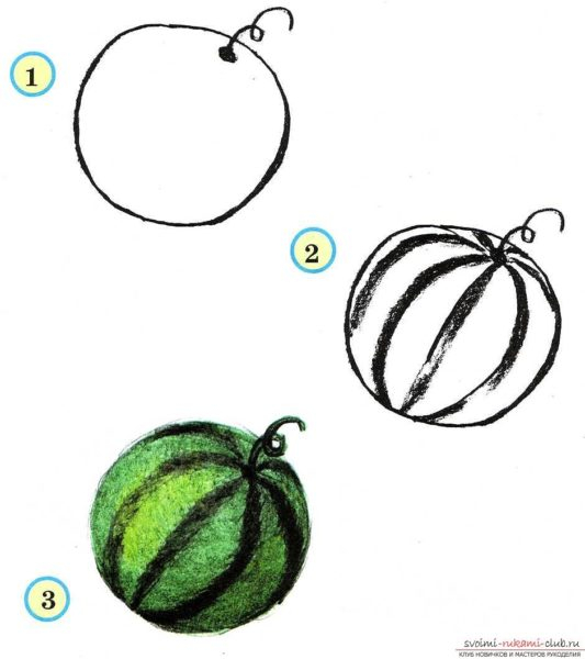 Рисунки овощи карандашом для детей (31 фото)
