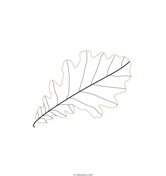 Рисунок карандашом дубовый лист (17 фото)