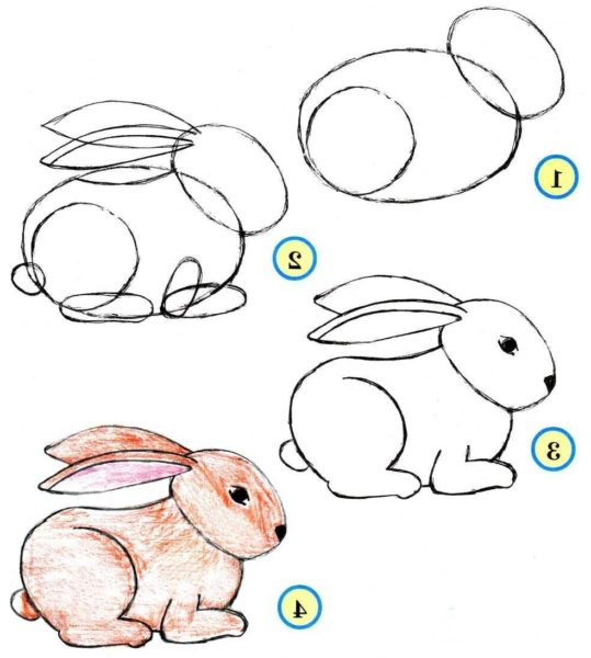 Самые легкие рисунки для срисовки для детей 5 лет (30 фото)